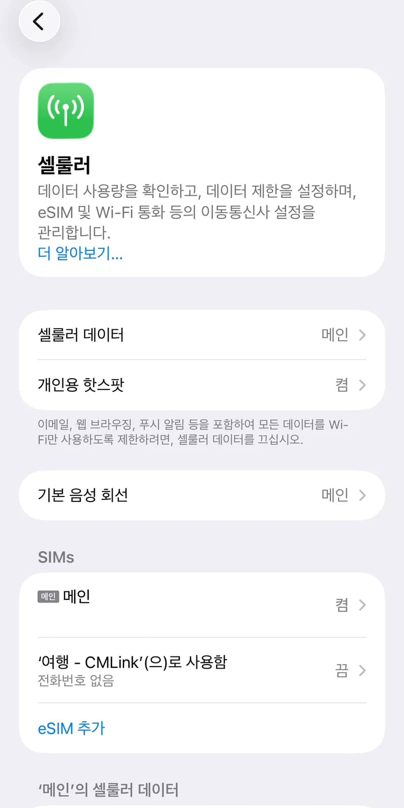 설정 > 셀룰러 화면. SIMs 아래 메인 회선과 여행용 eSIM 두 줄이 있다.